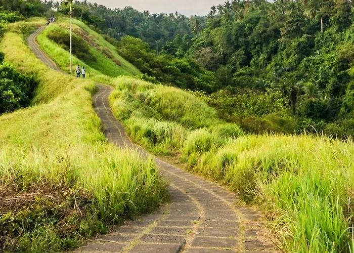 Tjendana Kanaka Jungle Villa *