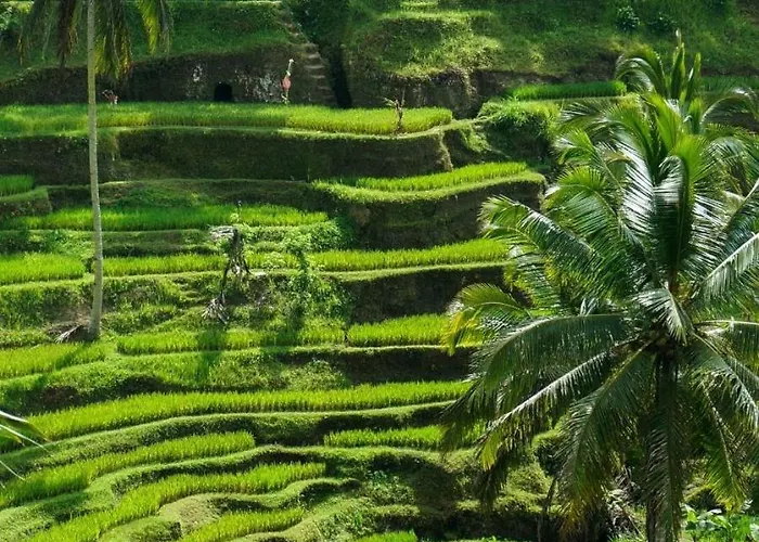 Tjendana Kanaka Jungle *