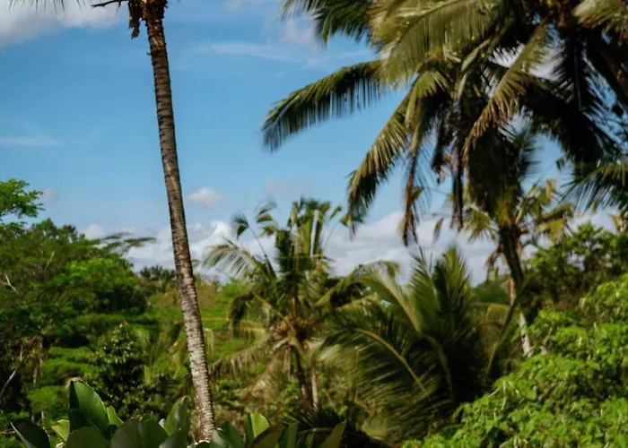 Tjendana Kanaka Jungle * أوبود