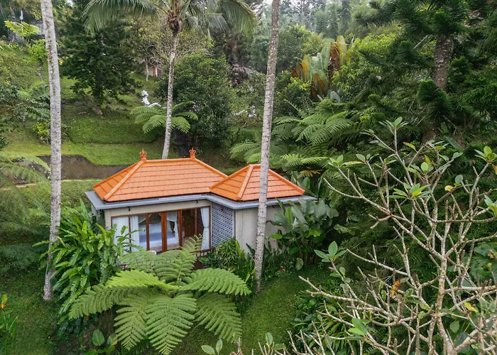 Tjendana Kanaka Jungle فيلة *